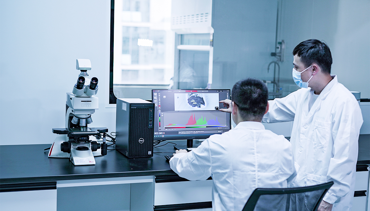 ��ҳ| ����(�й�����)�ٷ���վ